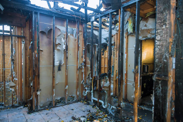 Professional Smoke Damage Removal technician working in Verdigris, OK